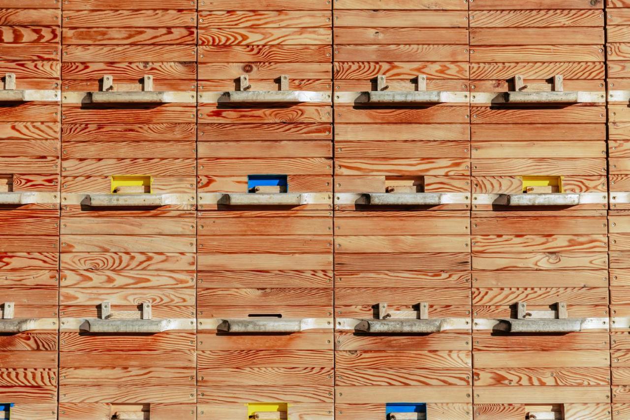Apartments Cenda Zelezniki Dış mekan fotoğraf